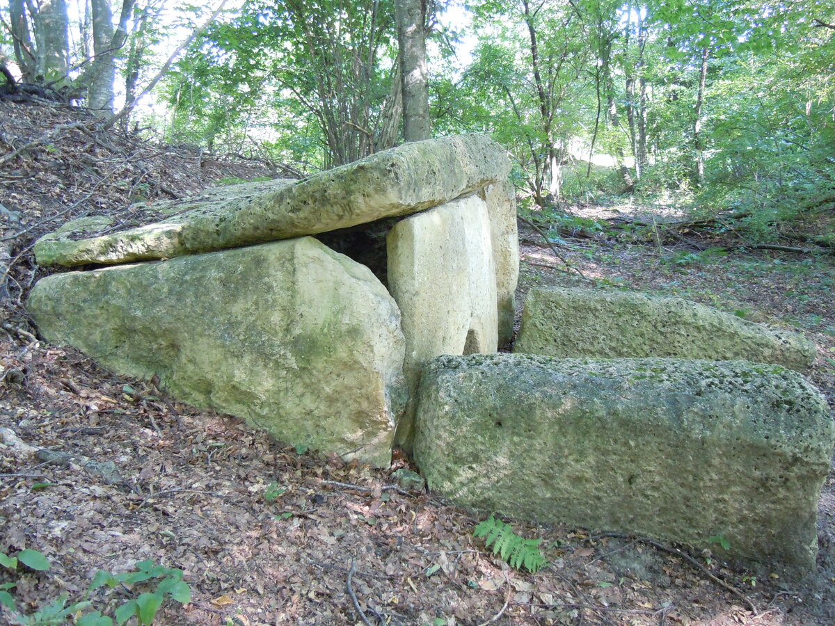 Вот как оправдывают лесорубы хаотичную прокладку ими глубоких, до глины, трелёвочных дорог через леса, поверх старых аккуратных грунтовок, ещё и разрушая при этом древние поселения и могильники разных-52