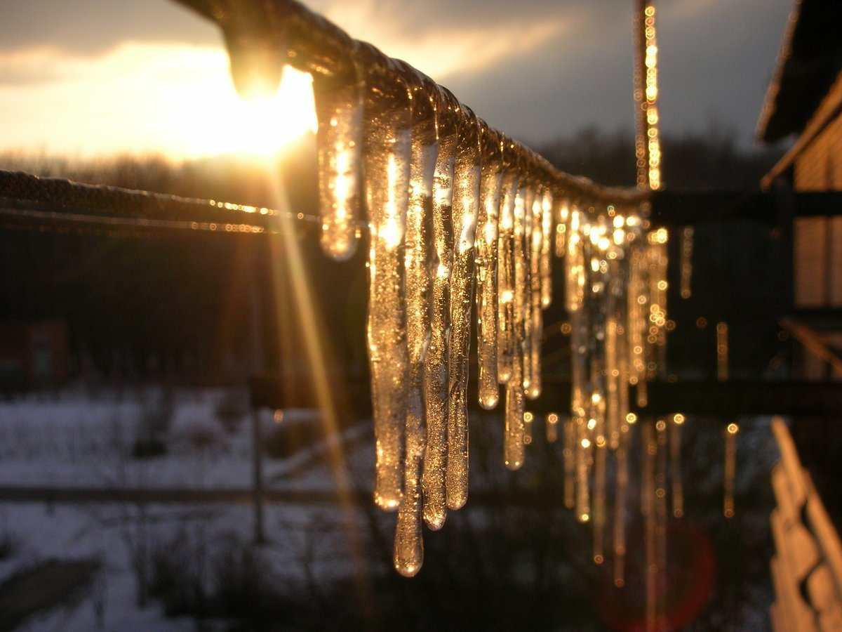 Источник изображения: сайт yandex.by/images