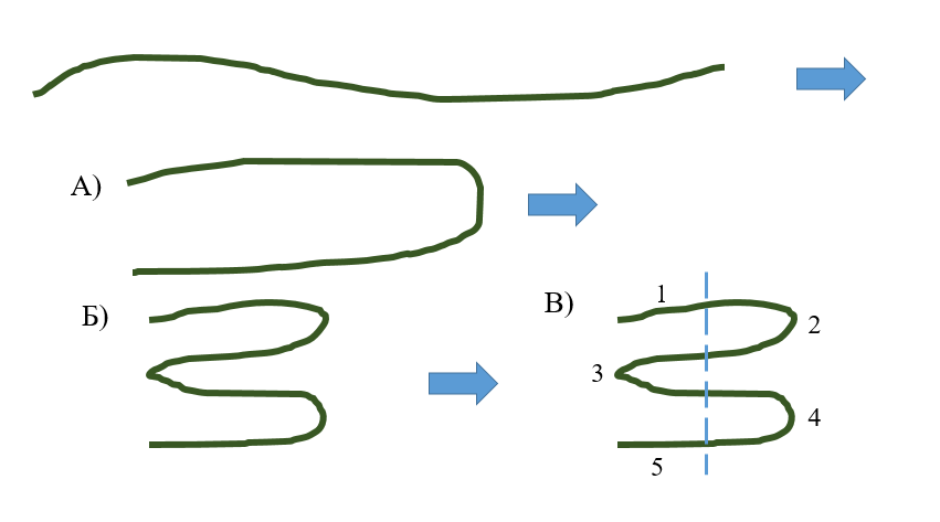 Рисунок автора