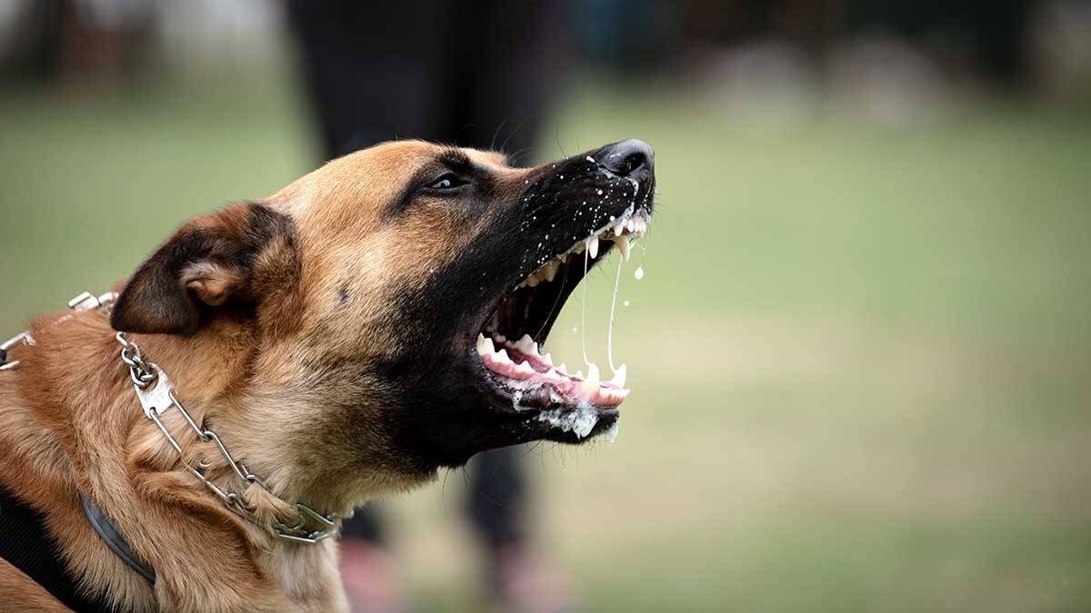    Фото: shutterstock