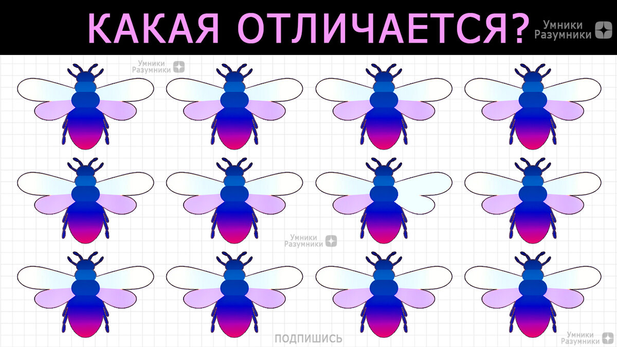 Найди одно отличие