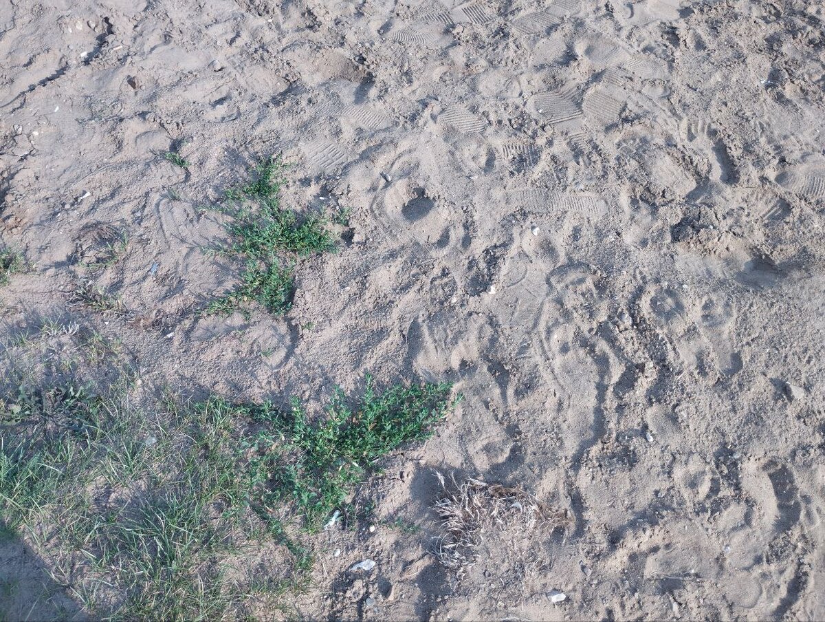 Вот такой песок с чем-то непонятным.