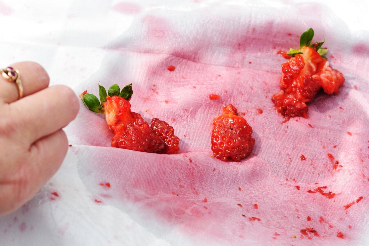     Не останется и следа: как отстирать пятна от ягод с одежды, ковра и дивана