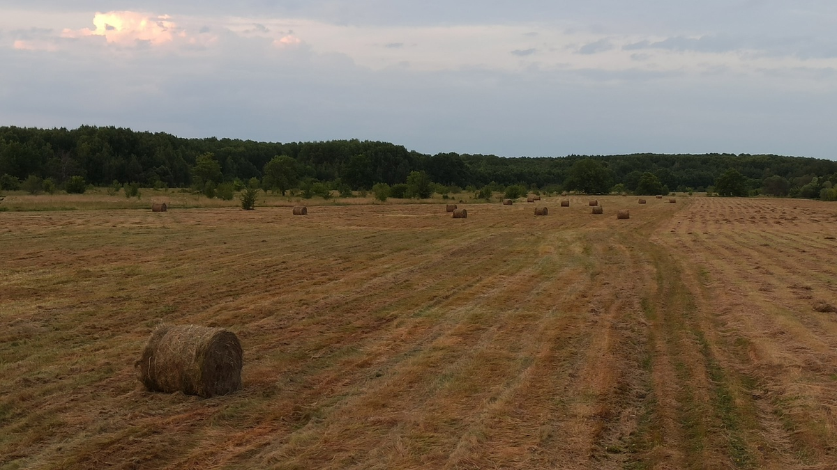 Мой сегодняшний результат. Пейзажи вокруг чудесные! 