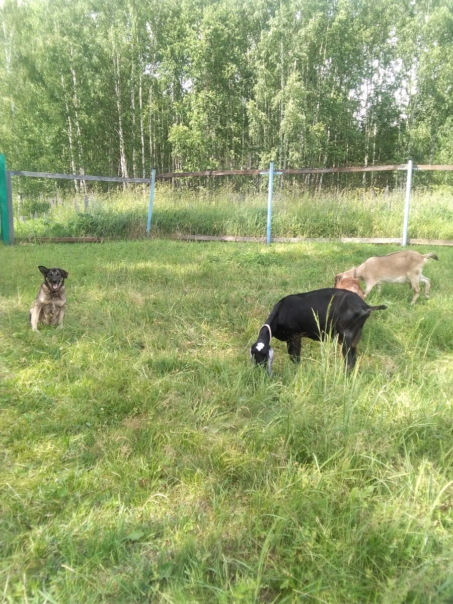 Фото автора.