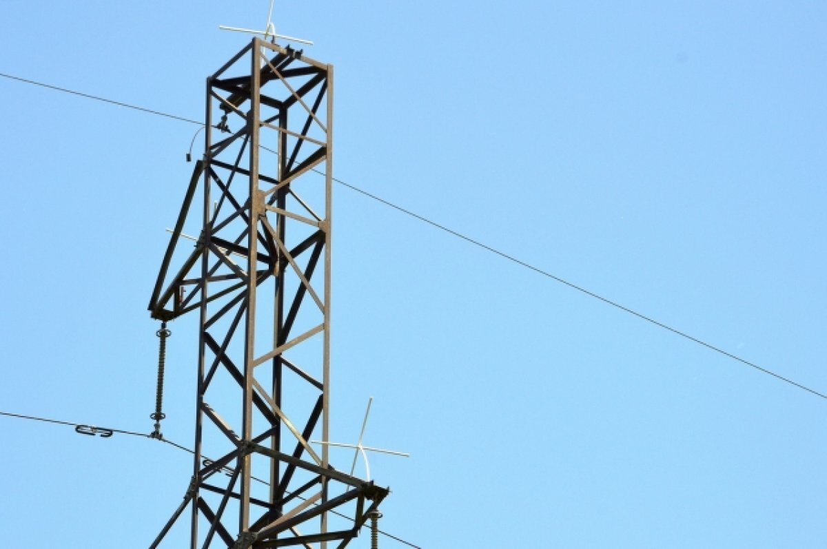    Власти Нью-Джерси объявили в розыск птицу, оставившую людей без света