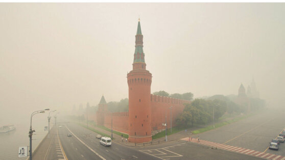    Переменная облачность, без осадков и до +21°C ждут москвичей 22 августа Анна Белая