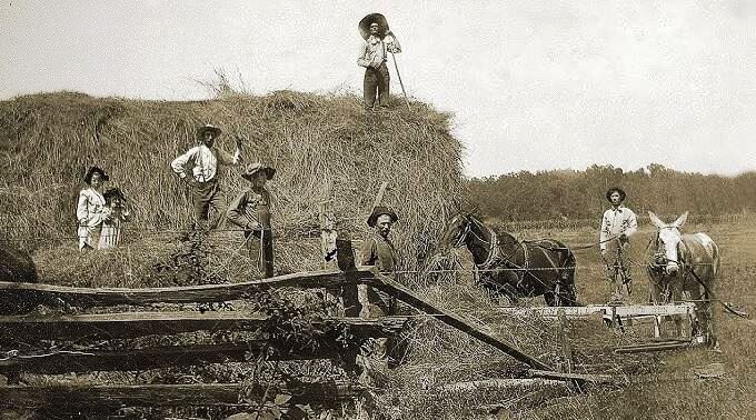 Американские фермеры начала XX века