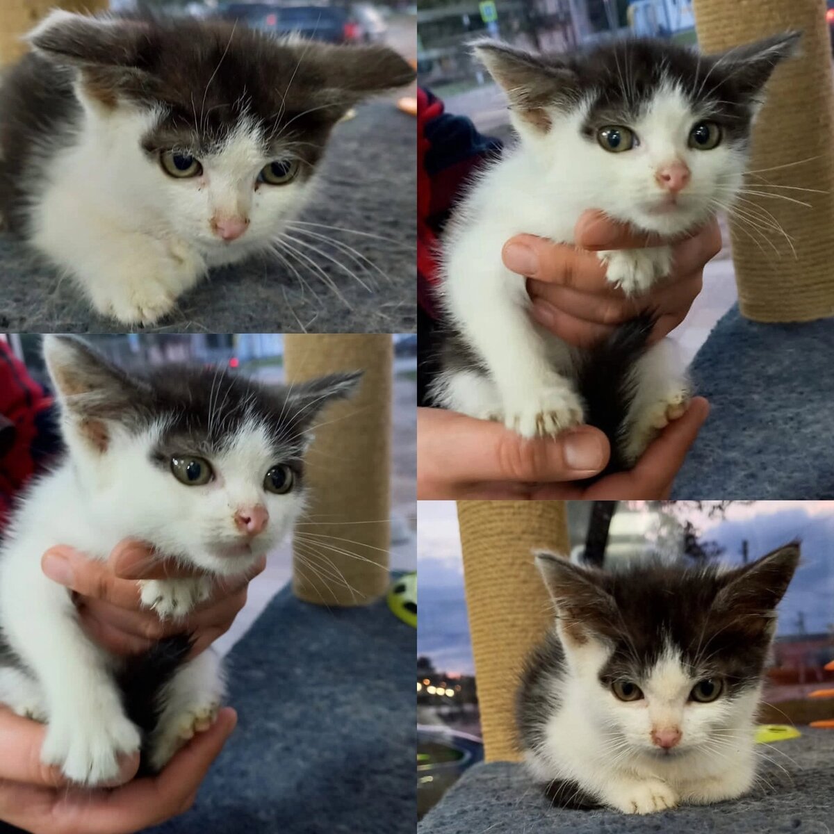 Вы же меня не обидите?