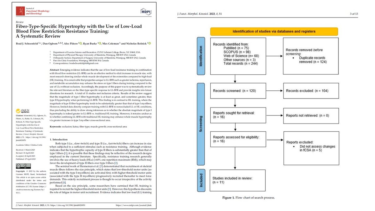 Рисунок 1. Блок схема поиска литературы.