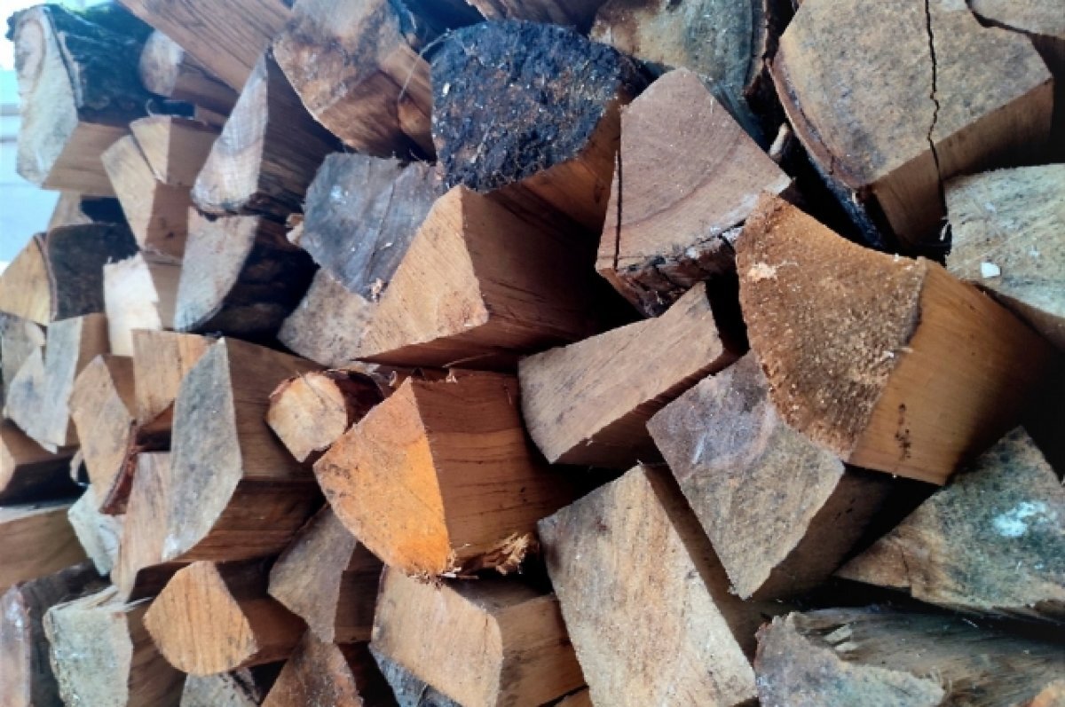    Семью участника СВО обеспечили дровами по поручению губернатора Камчатки