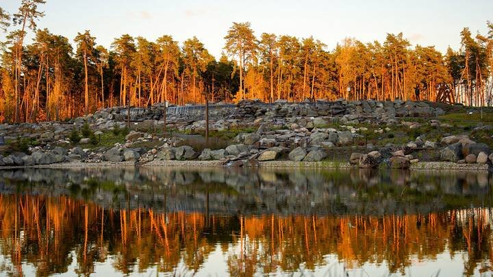 Фото: Александр Авилов / АГН Москва