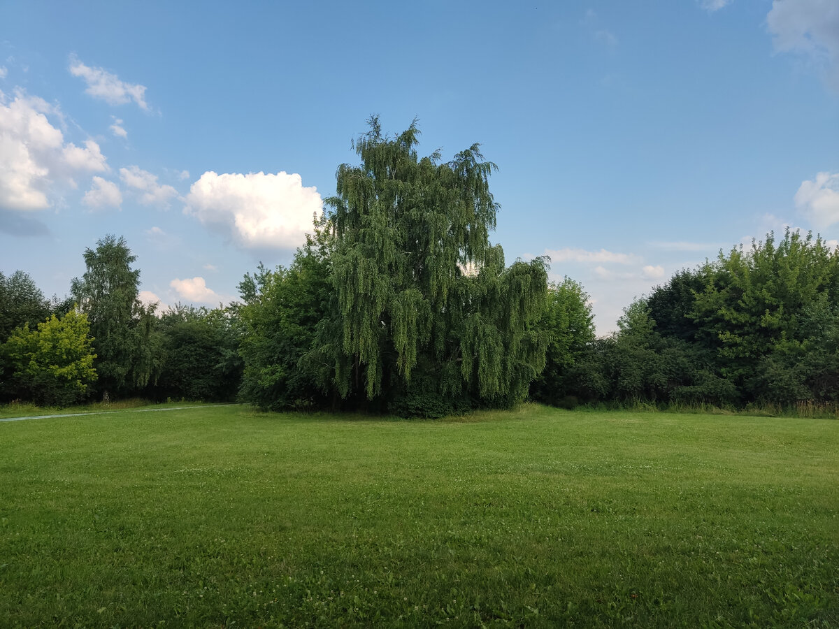 Фото из личного архива. Коломенское