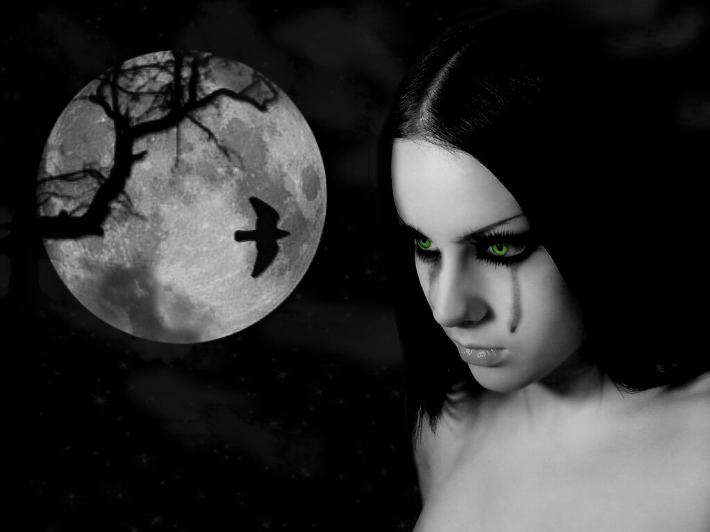 Картинка из свободных источников интернет