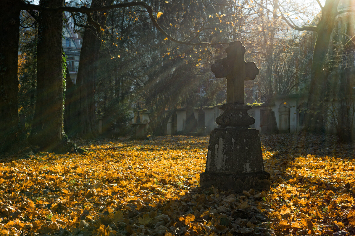 Фото: pixabay.com