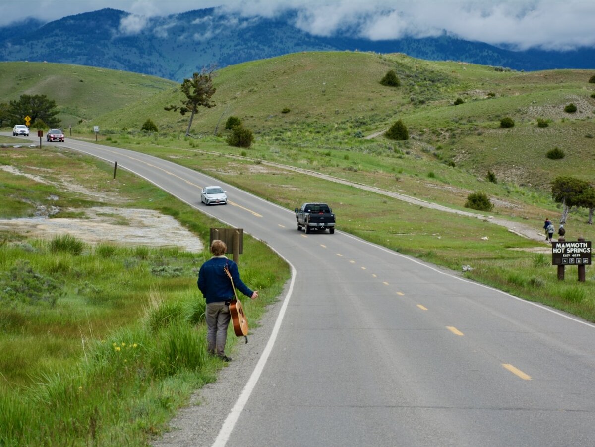 США. Парк Йеллоустоун. Июнь 2019 года. Фото автора