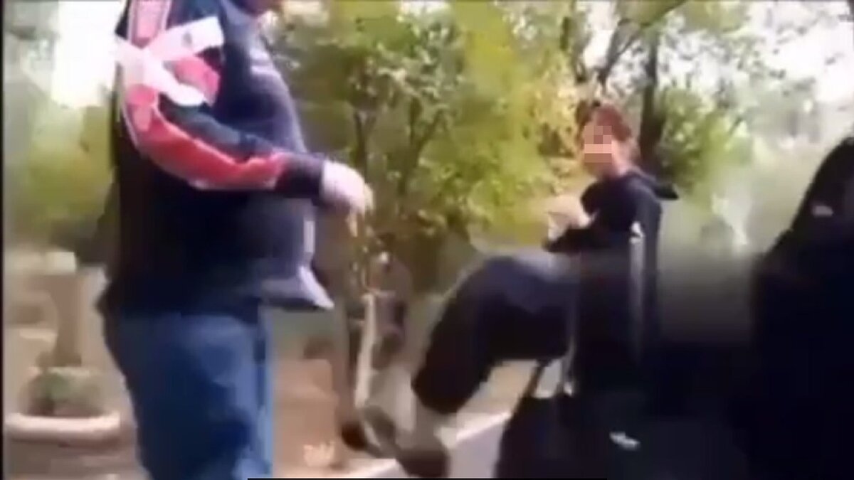     Личности избивших пьяного волгоградца школьниц удалось установить, сообщили в ГУ МВД России по Волгоградской области.