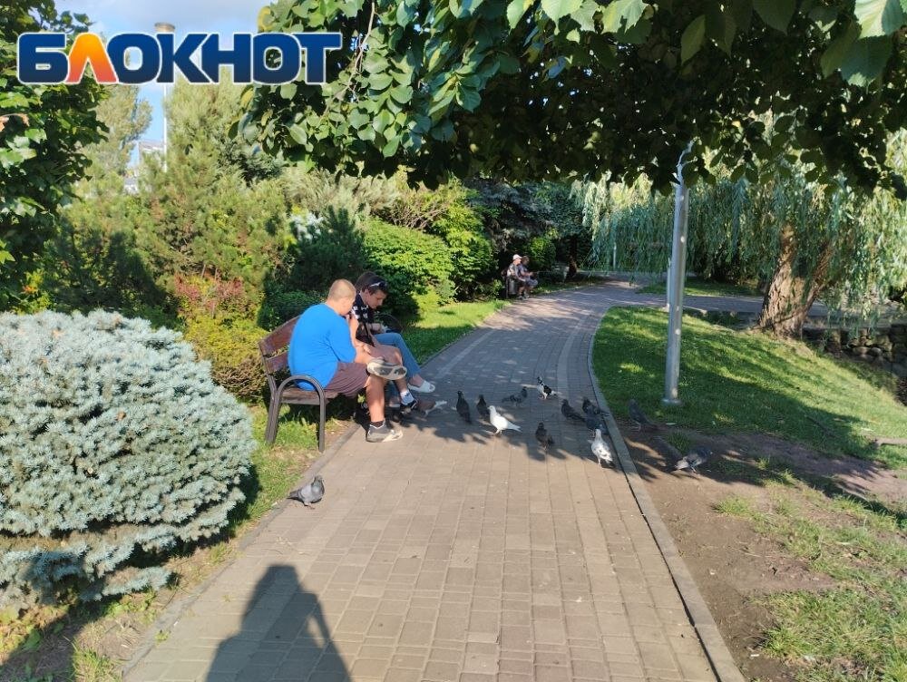 блокнот донецк