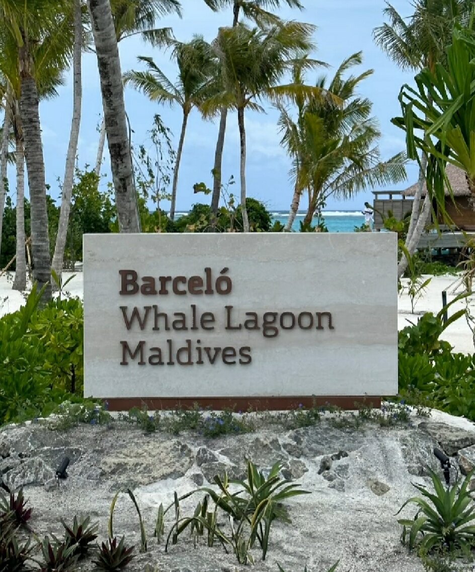 Barcelo мальдивы. Barcelo whale lagoon maldives 5*. barcelo whale lagoon maldives. barceló whale lagoon maldives. barcelo whale lagoon maldives 5*, мальдивы, южный ари атолл.