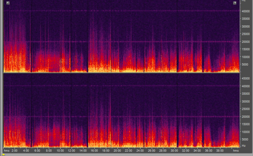 1969 - Yes LP (24/96)