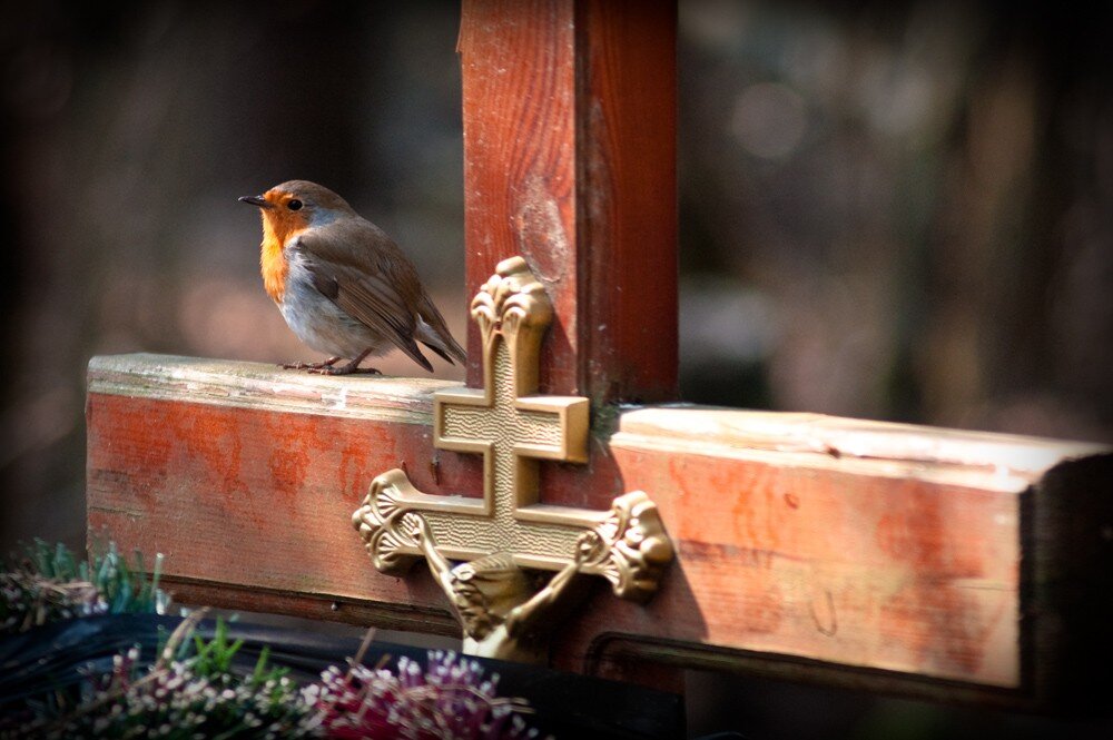 Источник фото: radiovera.ru