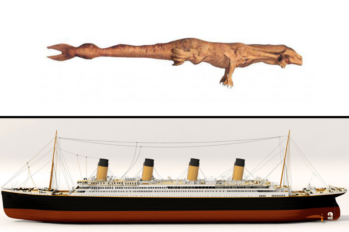 Титаник по сравнению с человеком фото