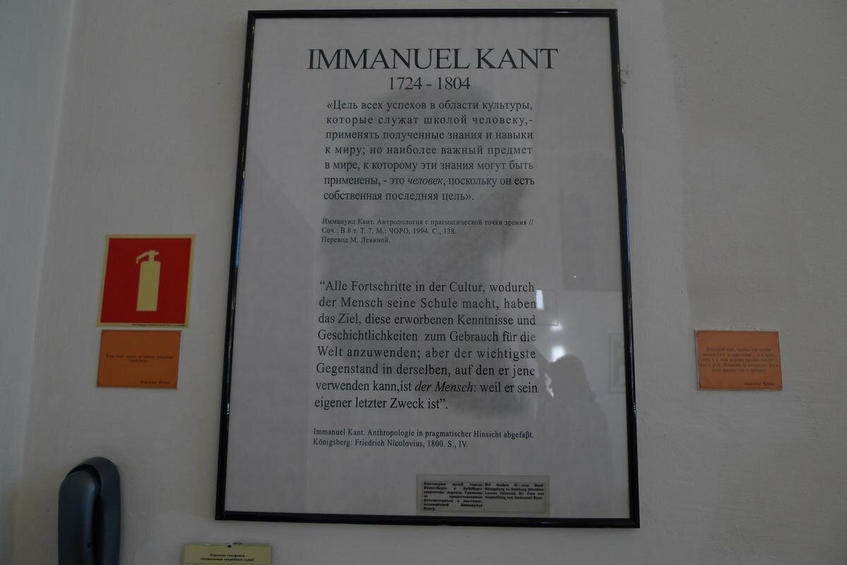 Введите описание картинки