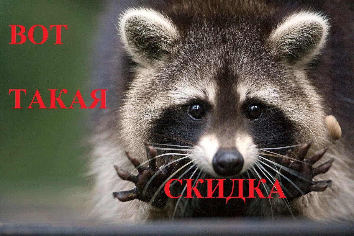 ИМЕННО ОКОНЩИКИ ПРИДУМАЛИ СКИДКИ В 50-80% 