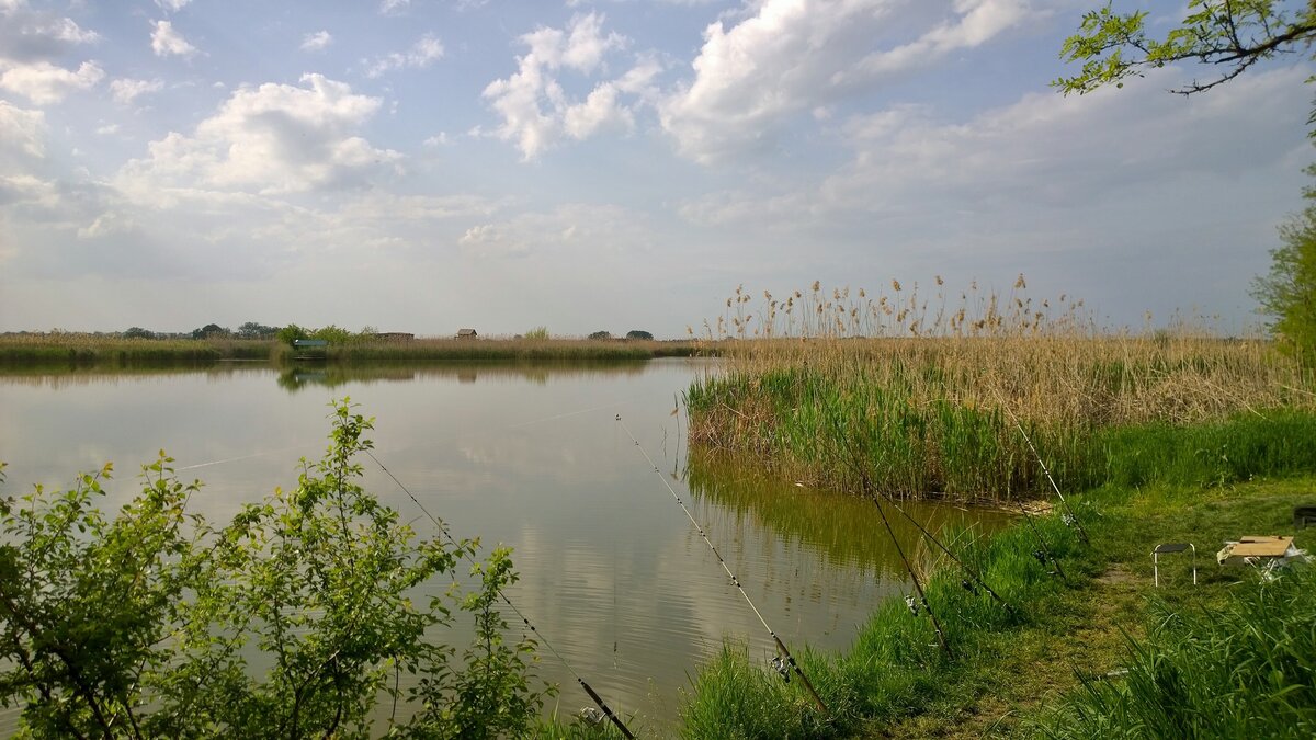 Кубань рыбалка на реке Кубань