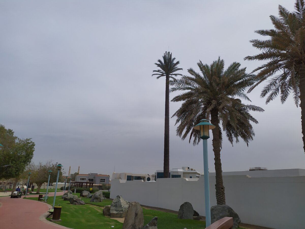 В парке вышка мобильной связи, стилизированная под пальму