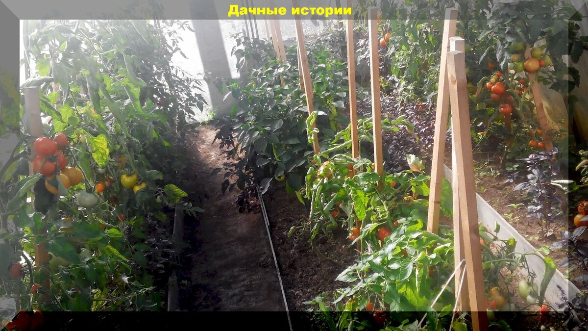 https://vk.com/photo-159774511_456242025