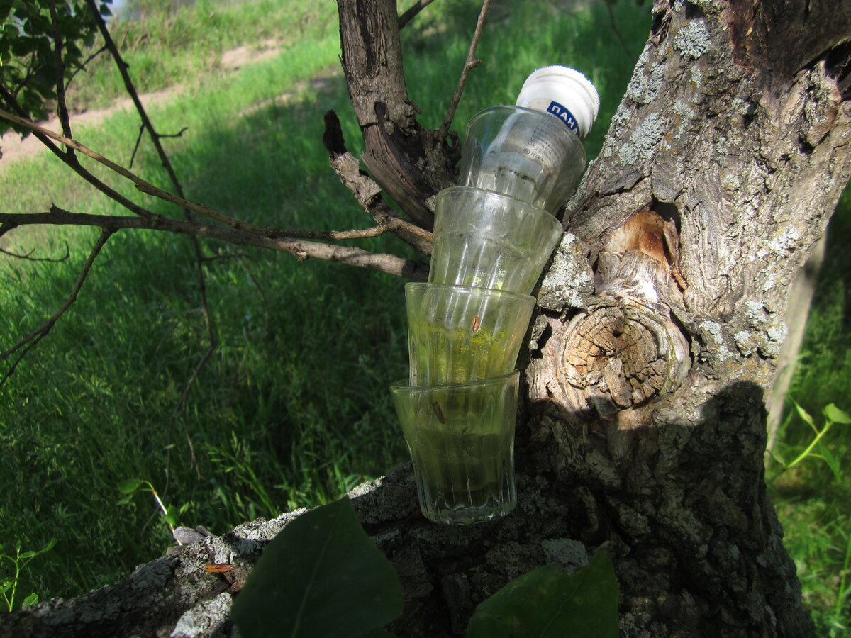 Ни в коем случае не сообщайте окружающим, что вы увлекаетесь рыбной ловлей. В лучшем случае вас посчитают браконьером и попросят продать рыбки, в худшем – предложат опохмелиться. Но уважения к вам не прибавится. 