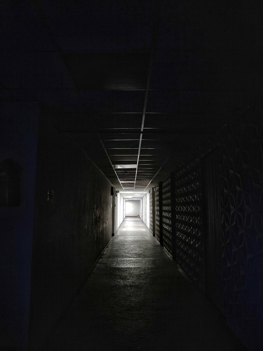 Ты видишь свет?