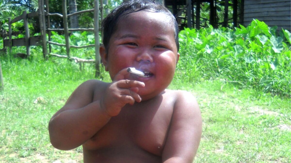 Фото взято с сервиса Яндекс.Картинки