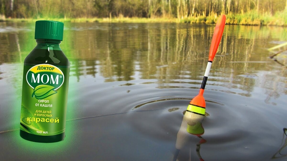 Фото взято из общего доступа.