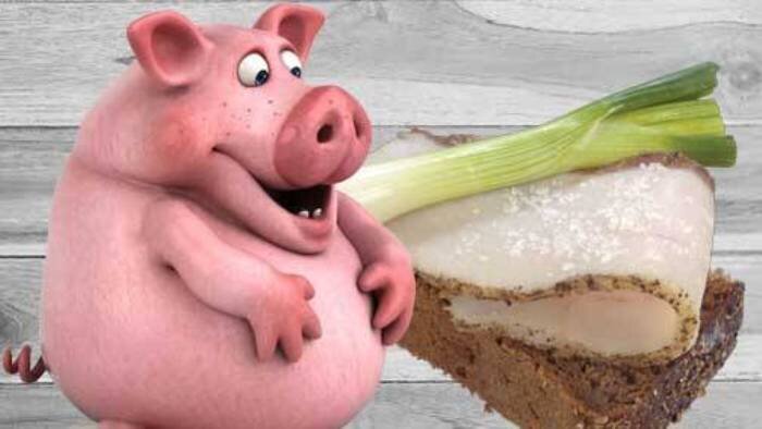                                                Нашим свинкам веселей, когда сало без свиней!