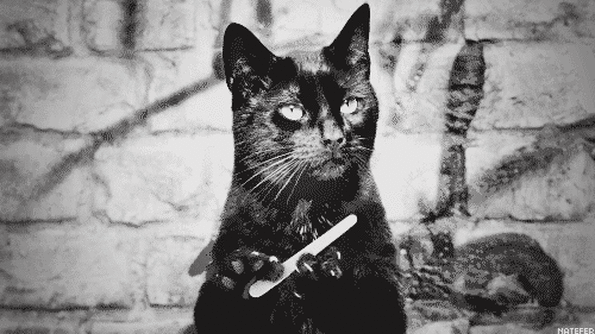 "Давай, расскажи мне, что мне нельзя точить когти!"