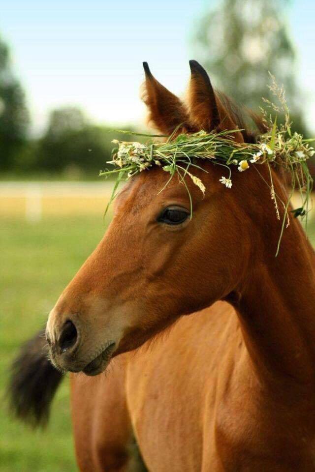 Фото Яндекс Картинки