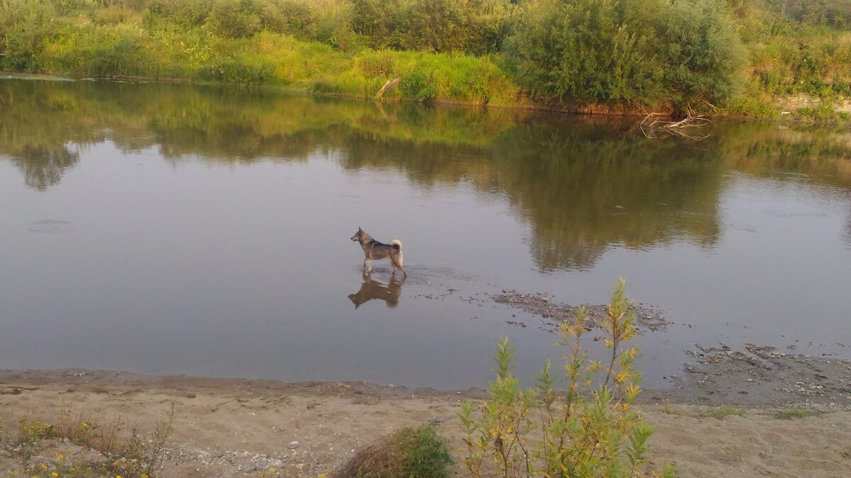 Озеро васьково приморский край