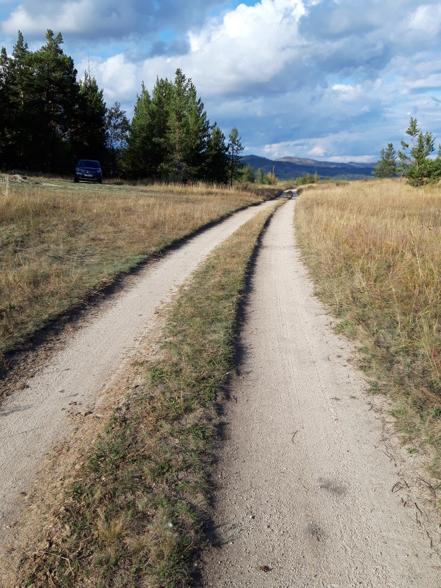 Дороги, которые мы выбираем