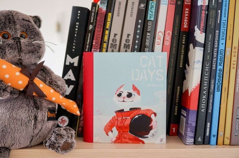 
Котик из проекта «День кота» в интерьере
