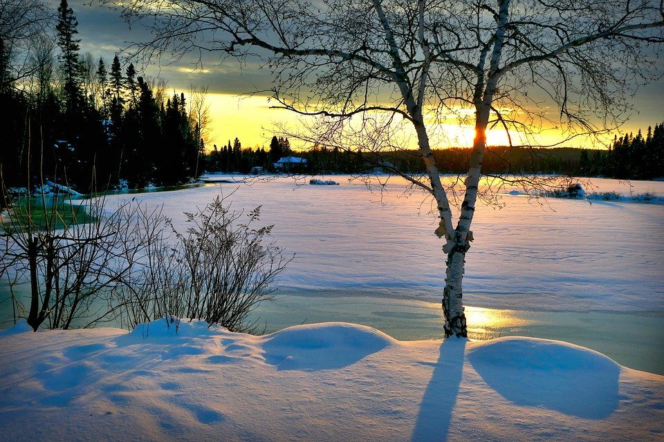 Источник: pixabay.com/