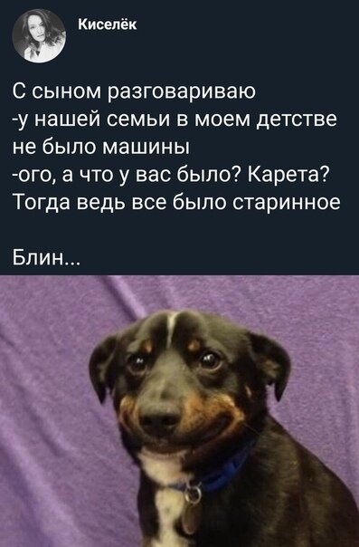 Фото предоставлено сайтом http://anekdotig.ru 