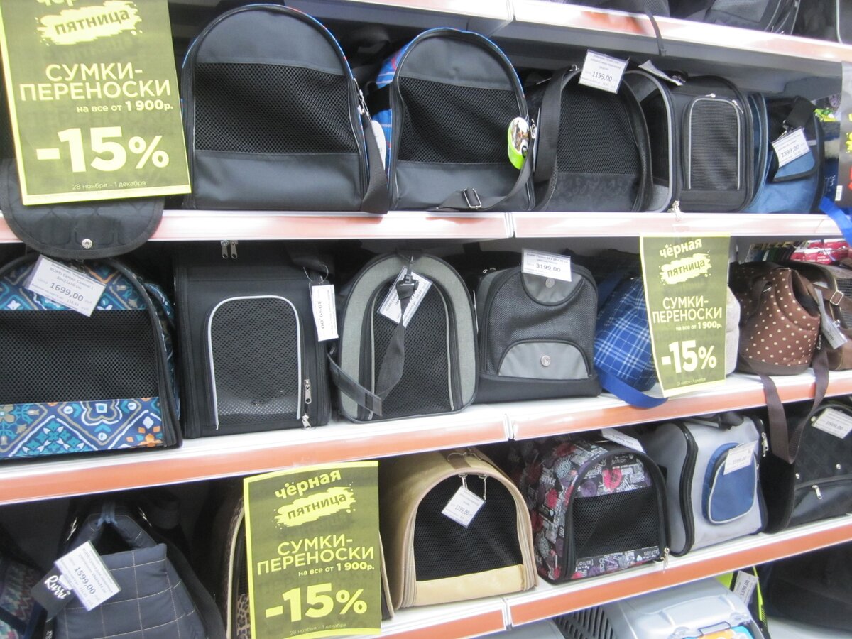 Витрина магазина "Четыре лапы" (фото автора)