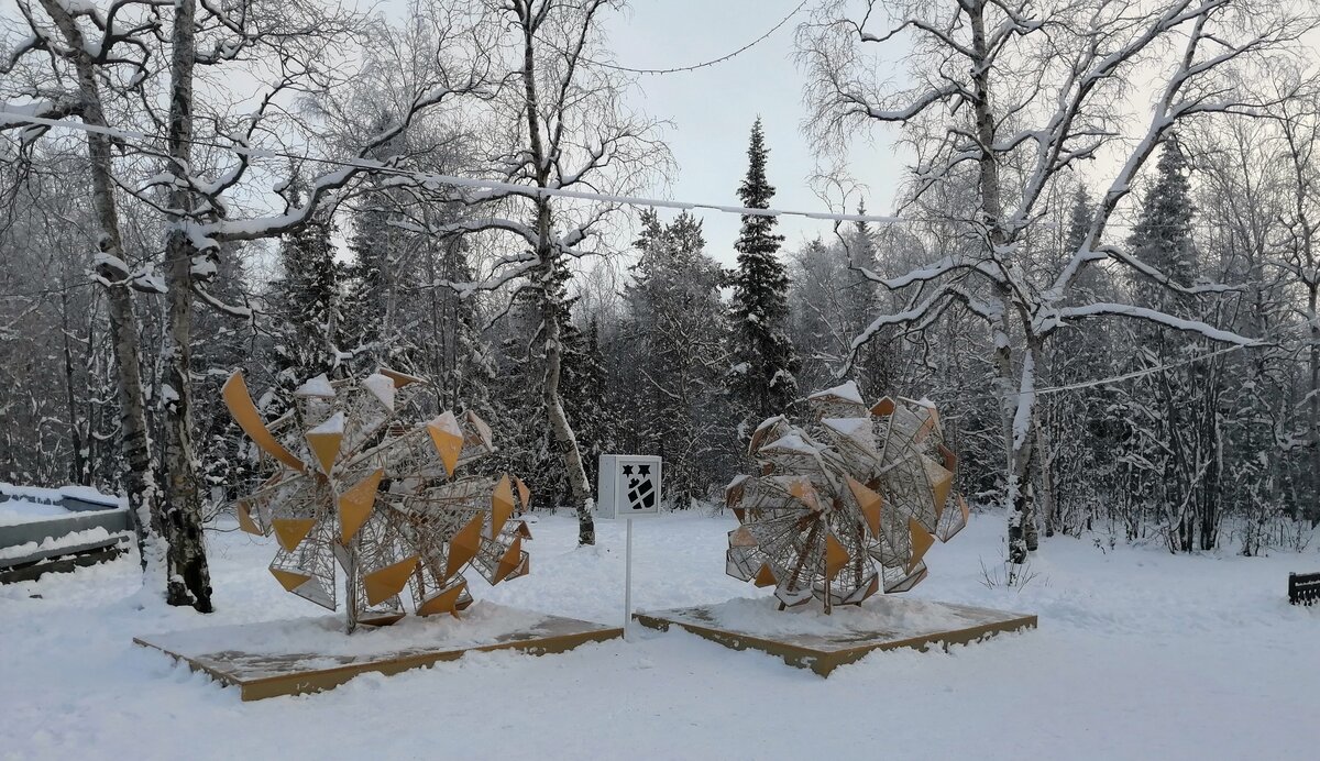 Те же самые шишки днем