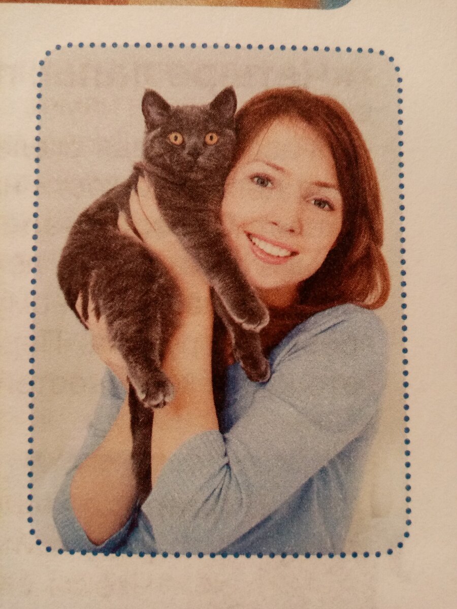 Берите кошку, поддерживая её снизу. 