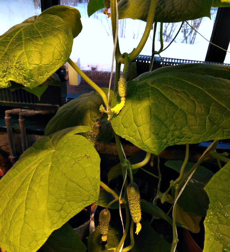 Фото: Надежда Овсянникова