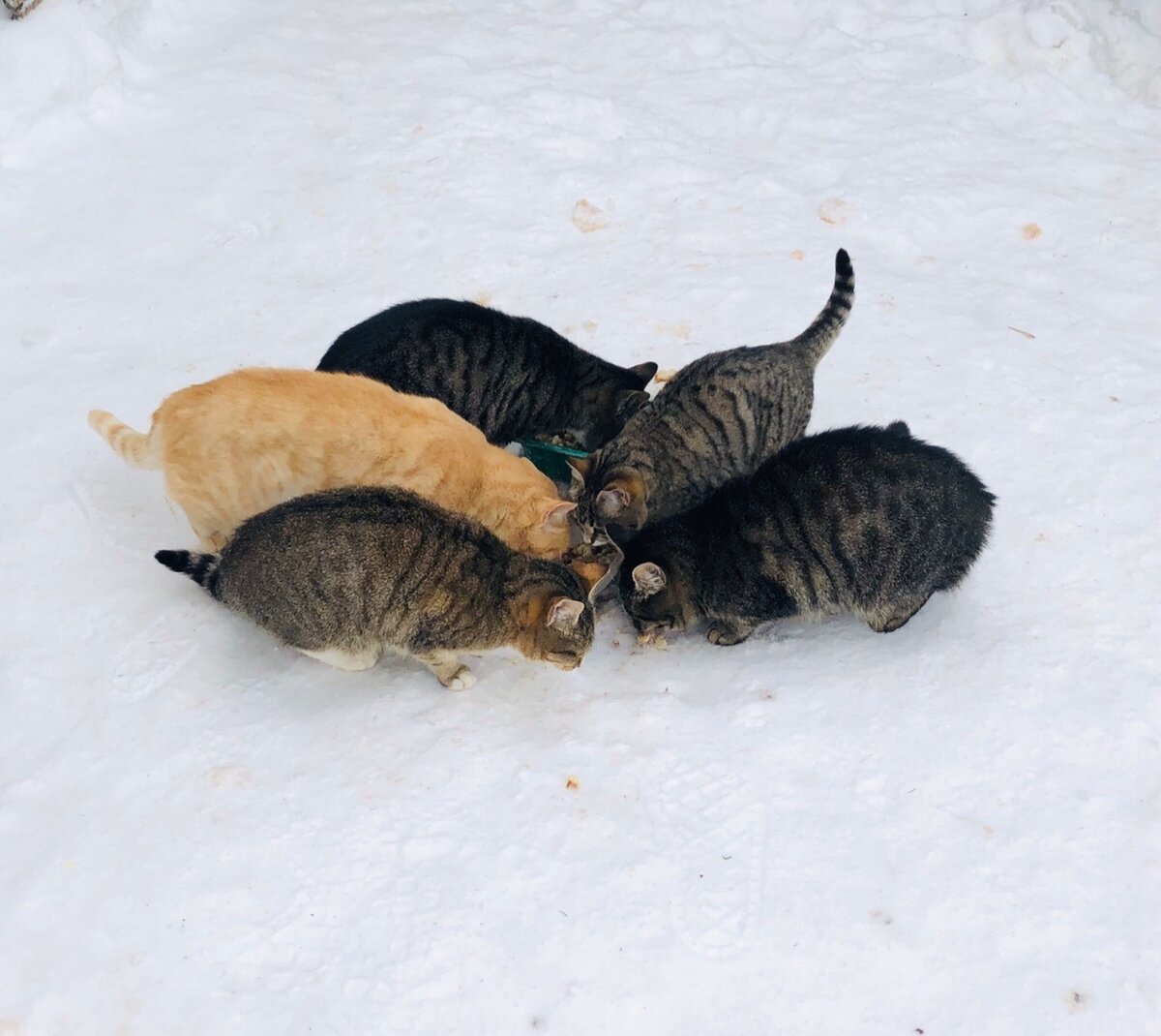 Фото автора истории. 