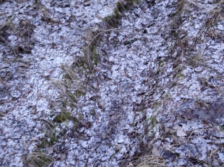 Фрагмент раскопок