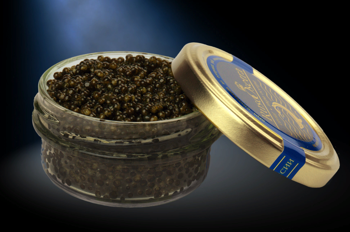 Черный кг. Икра черная осетровая. Kelp Caviar икра. Черная икра стерляди. Черная икра севрюги.